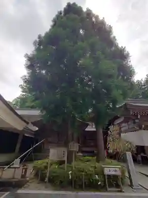 白山比咩神社(石川県)