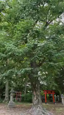 膳所神社(滋賀県)