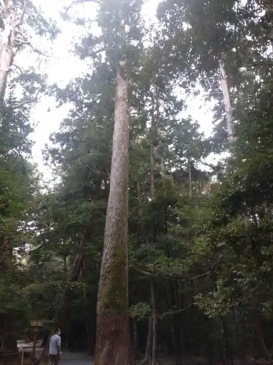 瀧原宮(皇大神宮別宮)の自然