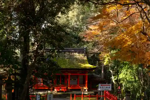 宇佐神宮(大分県)