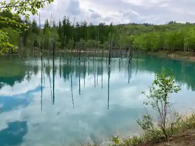 美瑛神社の周辺