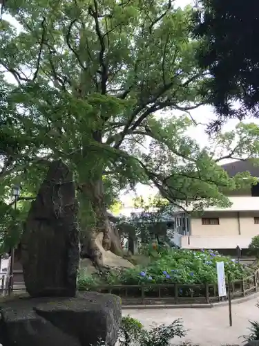 太宰府天満宮の庭園