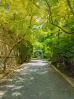 桃巌寺のその他建物