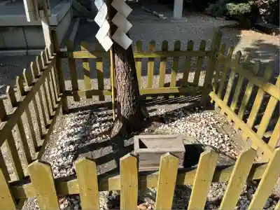 安久美神戸神明社(愛知県)