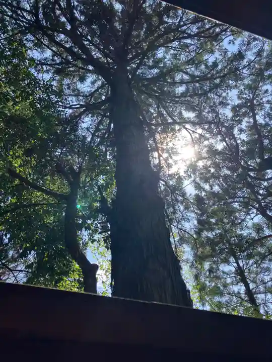 忍男神社(香取神宮摂社)(千葉県)