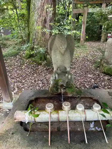 服部神社の{uncategorized: "未分類", other: "その他", undefined: "問題あり", building: "その他建物", grave: "お墓", sacred_gate: "鳥居", guardian: "狛犬", statue: "像", buddha: "仏像", history: "歴史", nature: "自然", garden: "庭園", animal: "動物", pagoda: "塔", temizu: "手水舎", mountain_gate: "山門・神門", sanctuary: "本殿・本堂", subordinate: "末社・摂社", art: "芸術", scenery: "景色", jizo: "地蔵", ema: "絵馬", goshuin: "御朱印", omikuji: "おみくじ", items: "授与品その他", amulet: "お守り", goshuincho: "御朱印帳", eats: "食事", festival: "お祭り", votive_dance: "神楽", shichigosan: "七五三参", wedding: "結婚式", experience: "体験その他", initially: "初詣", around: "周辺", anti_infection: "感染症対策"}