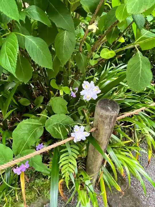 明月院(神奈川県)