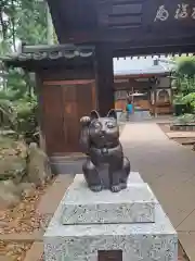 豪徳寺(東京都)