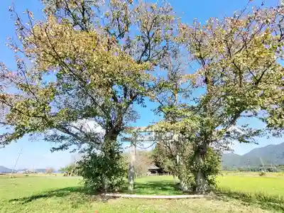 若宮神社(京都府)
