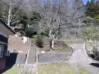 犬飼神社(福井県)