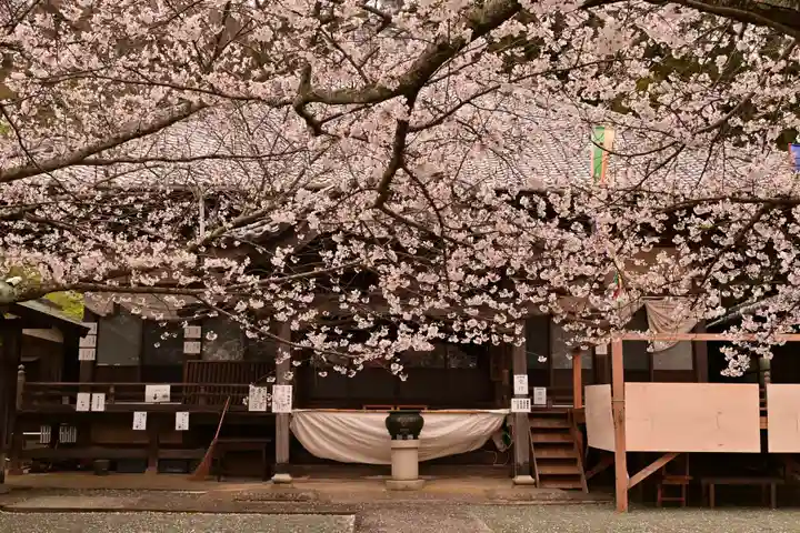 瑞龍寺(沖浦観音)(愛媛県)