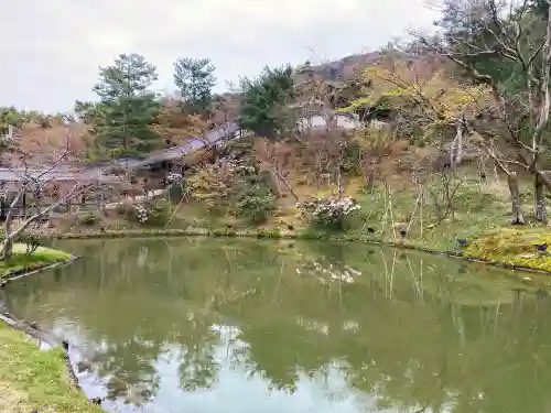 高台寺（高台寿聖禅寺・高臺寺）の庭園