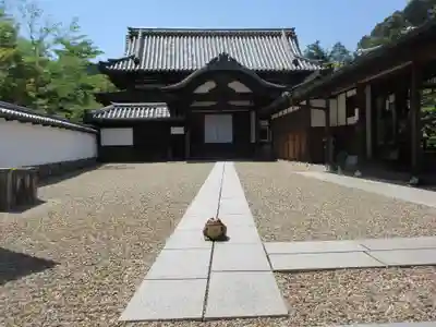 金剛寺の本殿・本堂