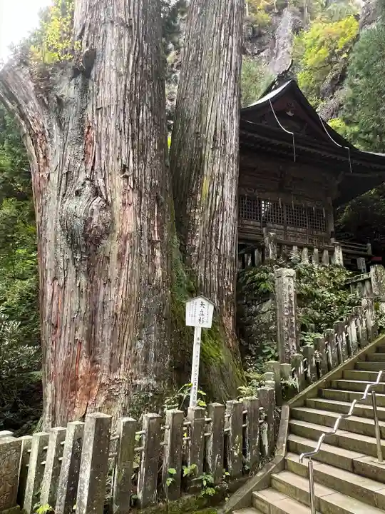榛名神社(群馬県)