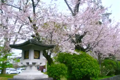 富士山本宮浅間大社(静岡県)