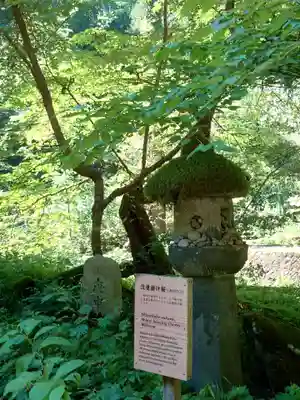 出羽神社(出羽三山神社)～三神合祭殿～(山形県)