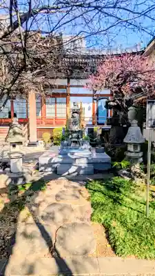 大行寺の塔