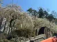 大縣神社の自然