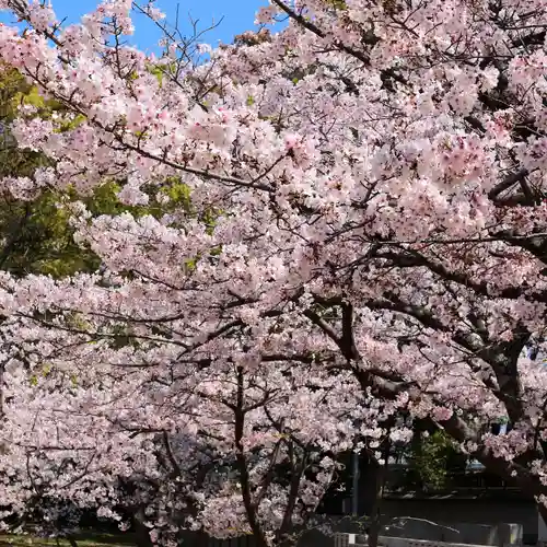 三津厳島神社の自然