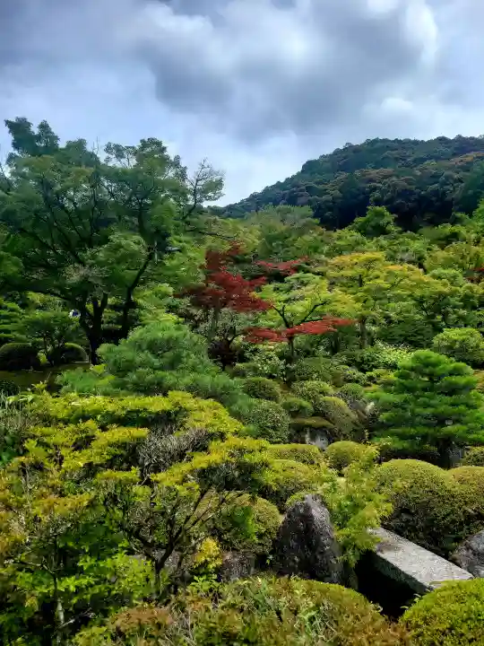 三室戸寺(京都府)