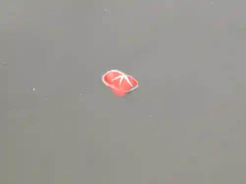 勝尾寺(大阪府)