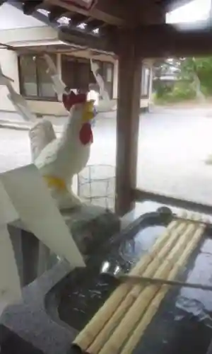 鷲宮神社の手水舎