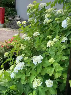 長光寺(長野県)