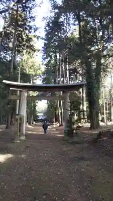 楯縫神社の鳥居