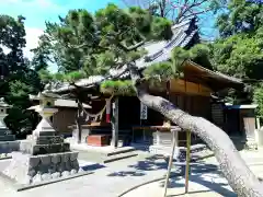 邑勢神社の自然