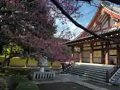 長仙寺(東京都)