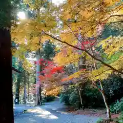 小國神社の自然