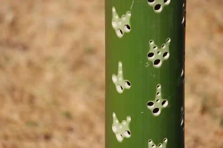 国宝 大法寺のその他建物