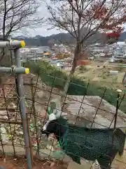 賀茂別雷神社の動物