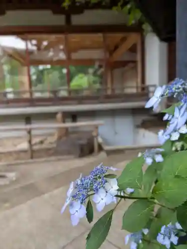 鳩森八幡神社(東京都)