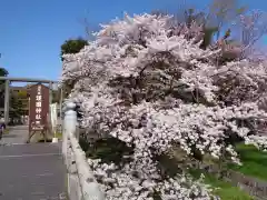 滋賀県護国神社の自然