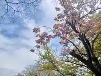 蓮心寺(青森県)