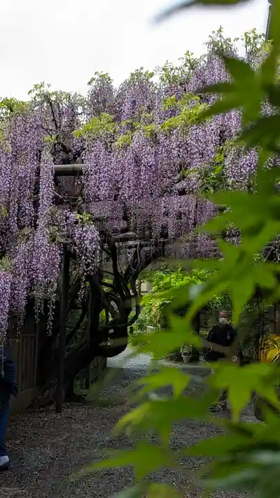 長岡天満宮(京都府)