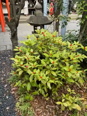 愛宕神社のその他建物