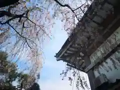 善光寺の建物その他