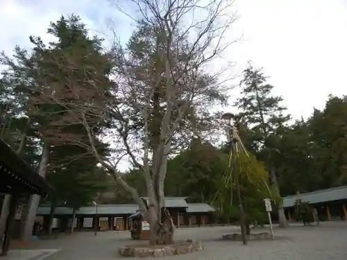 北海道神宮の自然