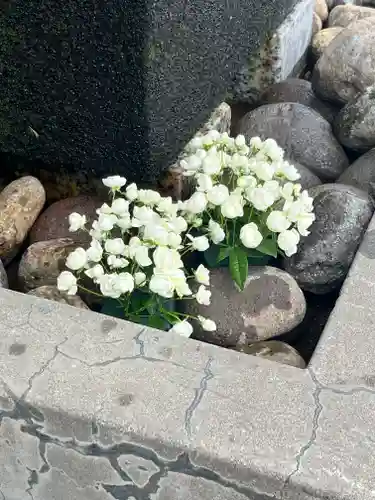 上尾御嶽神社の手水