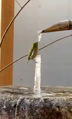 大聖護国寺(群馬県)