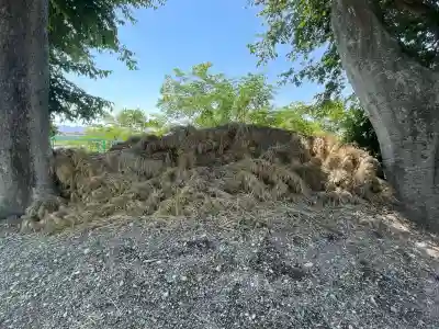 素盞嗚神社(奈良県)