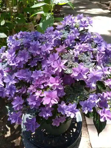 筥崎宮(福岡県)