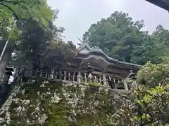 玉置神社(奈良県)