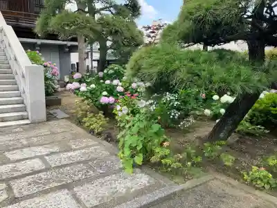 浄勝寺(千葉県)