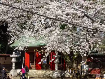 前原御嶽神社(千葉県)