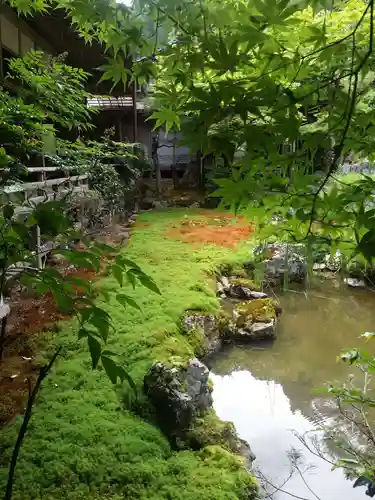 常照皇寺の庭園