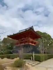 仁和寺の建物その他