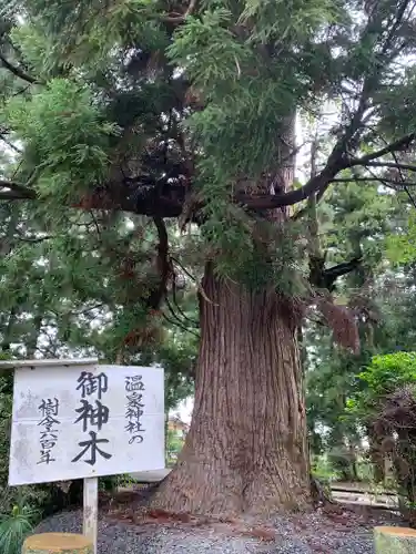 小川温泉神社の自然